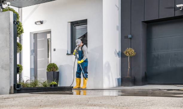 Best Roof Cleaning and Mildew Removal in Gamewell, NC